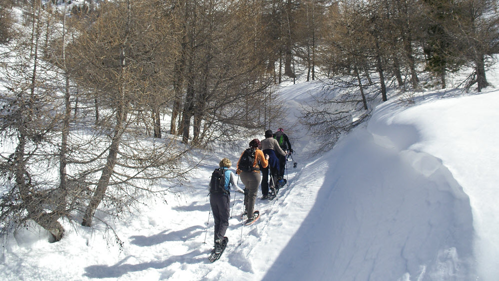 SCHNEESCHUHTOUREN
Die Weissmieshütte ist im Winter auch ideal mit den Schneeschuhen erreichbar.